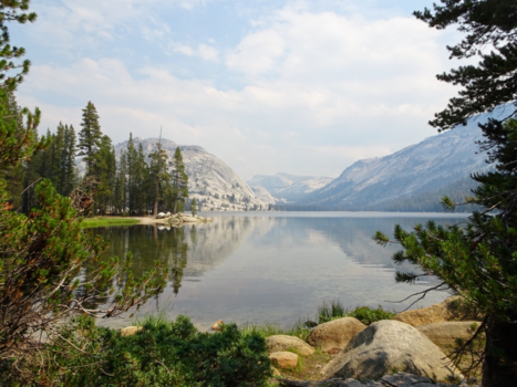 Verenigde Staten - Looks like a painting - USA Yosemite National Park