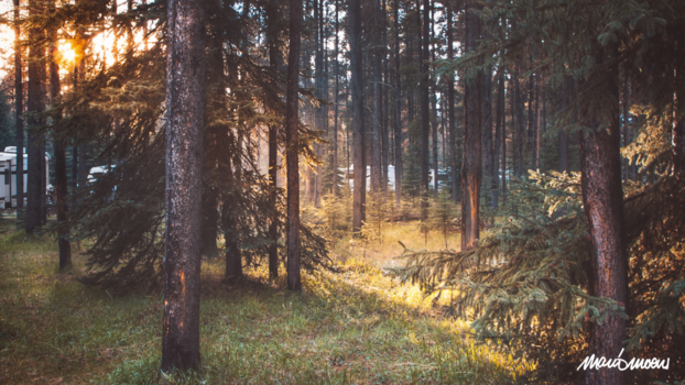 Canada - Home is where you park it