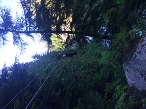 Whistler Mountain - Zipline