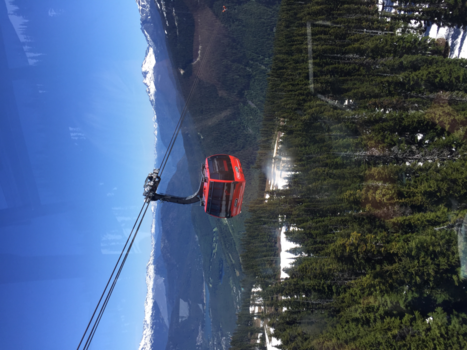 Whistler Mountain - Gondola
