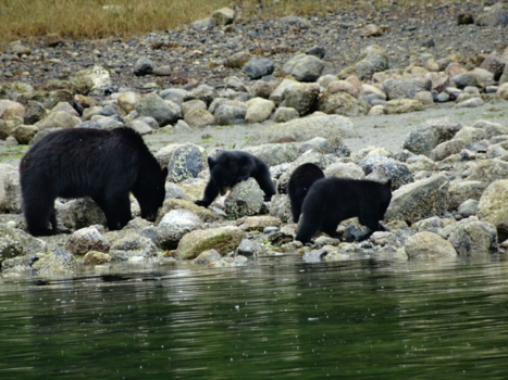 Canada - One happy familie
