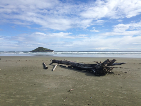 Tofino - Deep loded in mind
