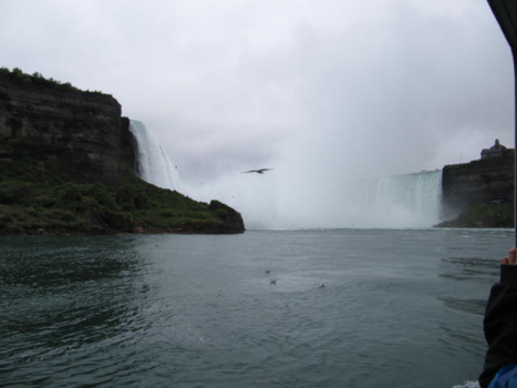 Niagara Falls - canada