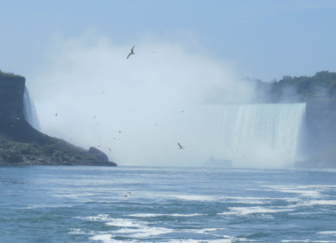 Niagara Falls - niagara falls