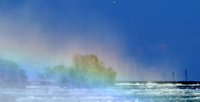 Niagara Falls - niagara falls