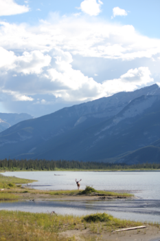 Jasper National Park - A magical Patronus