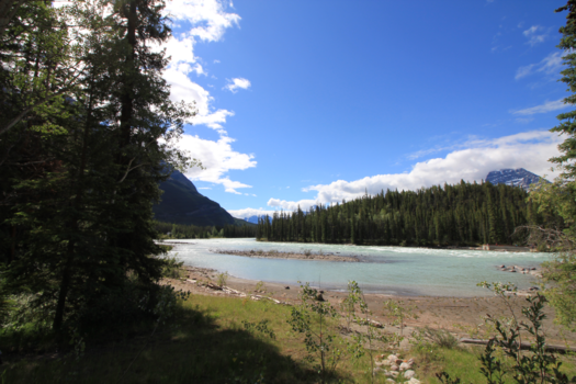 Jasper National Park - Langs de Icefield Pkwy tussen Jasper en Banff zie je de mooiste landschappen.