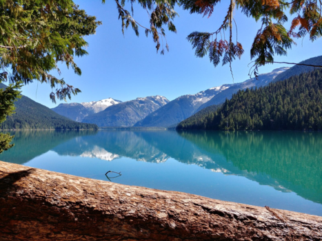 Whistler Mountain - Secret path to a secret view... ssssssst