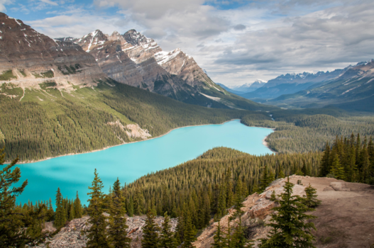 Canada - peyto Lake