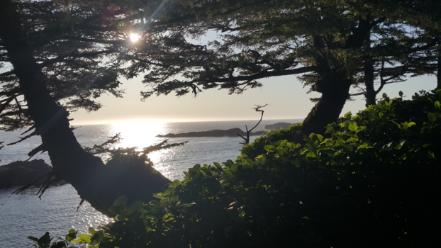 Victoria (Canada) - Wild Pacific Trail, Canada