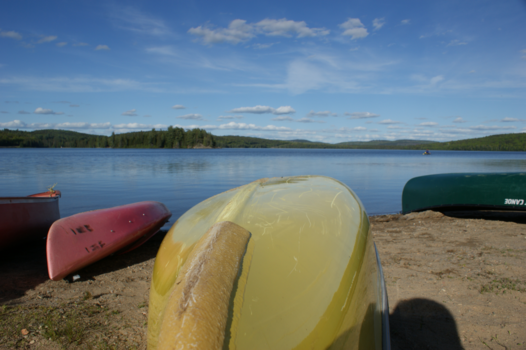 Canada - Meren, bomen en lots of muggen,