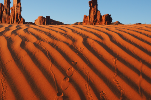 Verenigde Staten - Insectensporen in het zand bij Monument Valley