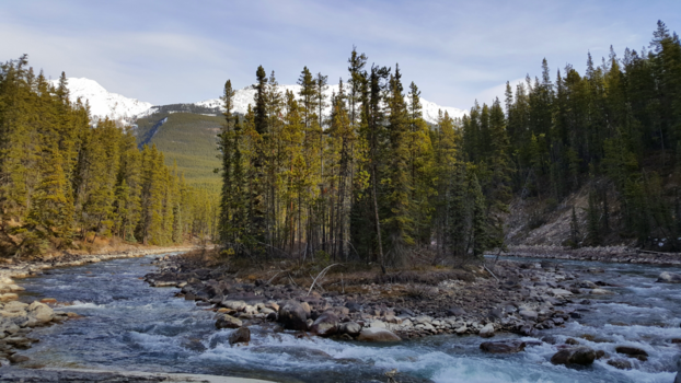 Jasper National Park - Island in the streams