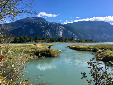 Canada - Miraculous structures of nature's hypnotising beauty