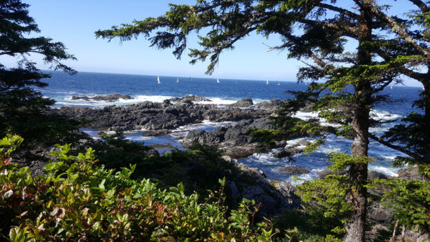 Canada - Vancouver Island:  here we come