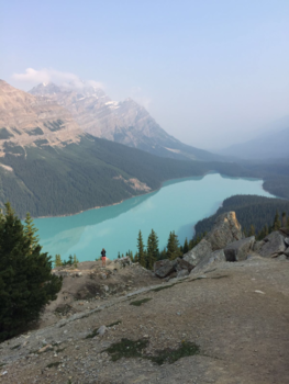 Lake Peyto - Grootse natuur vs de kleine mens