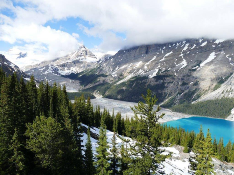 Canada - Beutiful bow summit Peyto lake