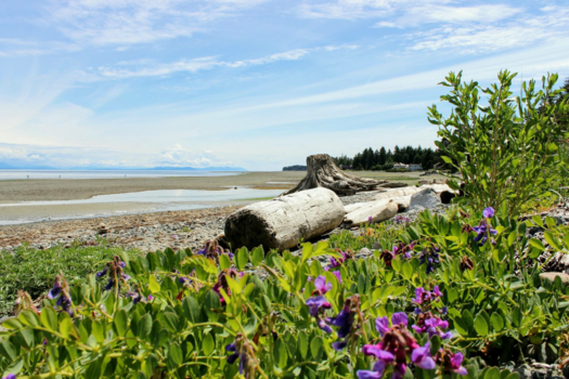 Canada - Long beach Vancouver Island