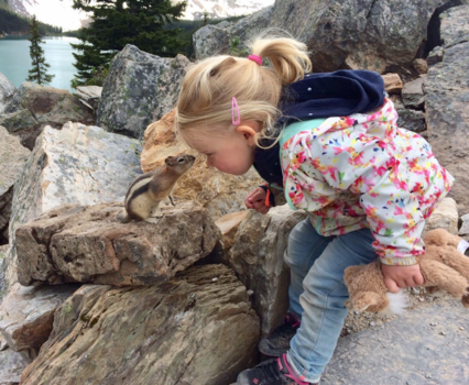 Banff National Park - Kusje