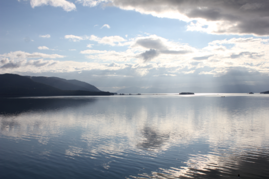 Verenigde Staten - cruise Alaska tracy arm fjord