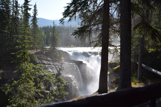 Canada - Athabasca Falls