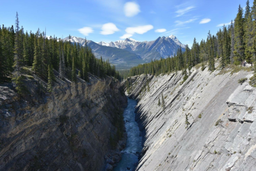 Jasper National Park - Nature