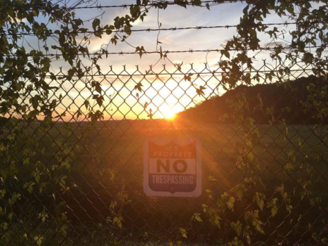 Verenigde Staten - Savannah sunset