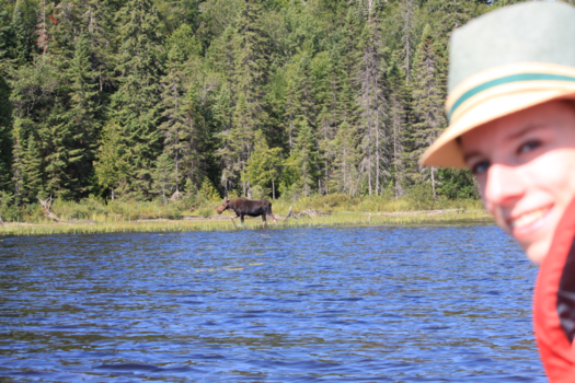 Algonquin provincial park - Making new friends in the middle of nowhere