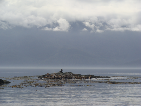 Canada - Eiland in de wildernis