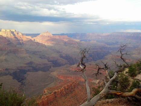 Verenigde Staten - Grand Canyon