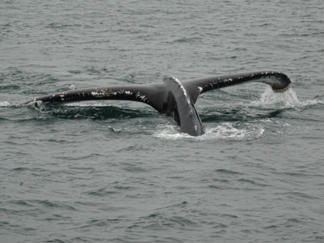 Nova Scotia - Mijn geluks moment en toevalstreffer!