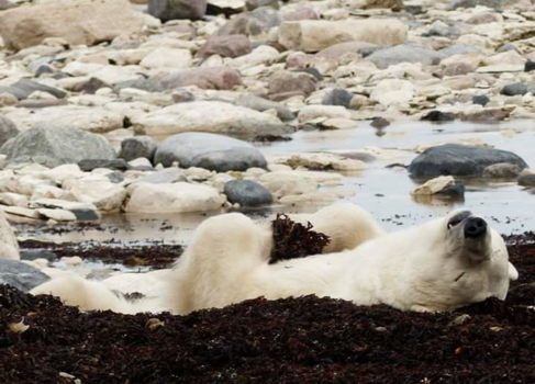 Canada - Living the good life
