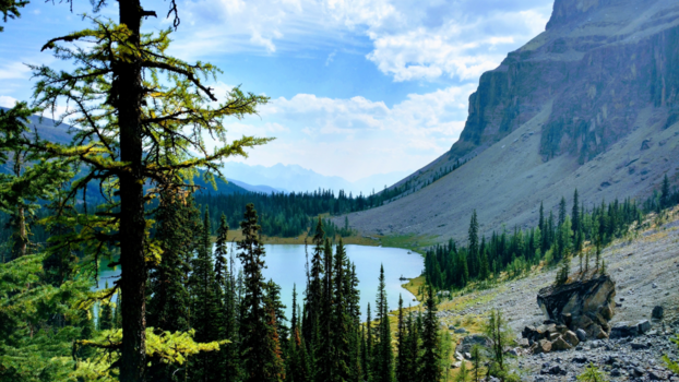 Canada - adembenemend