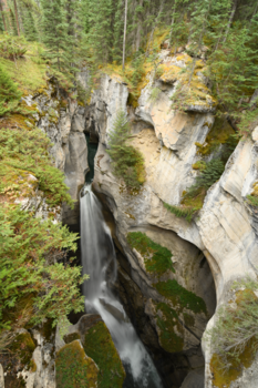Jasper National Park - Maligne Canyon
