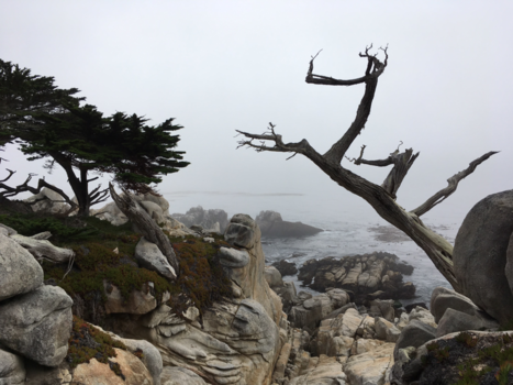 Verenigde Staten - 17 mile drive, Highway 1