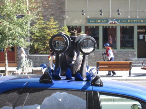 Banff National Park - Ga je mee op excursie