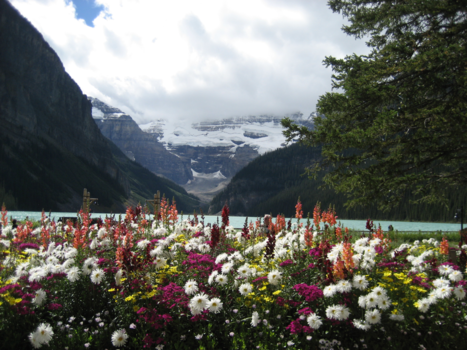 Banff National Park - Lake Louise