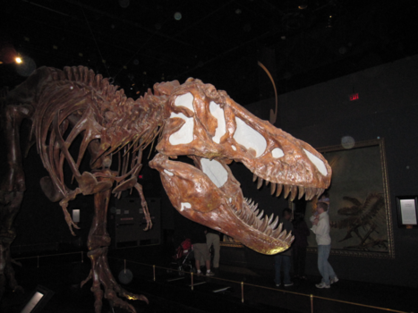 Calgary - Royal Tyrrell museum in Drumheller