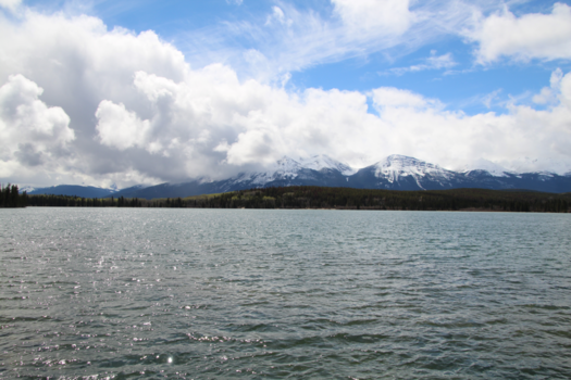 Canada - Athabasca Falls