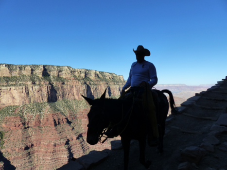 Grand Canyon - Cowboy at Grand Canyon