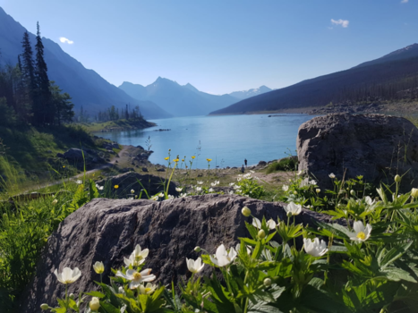 Rondreis West-Canada - Medicinelake