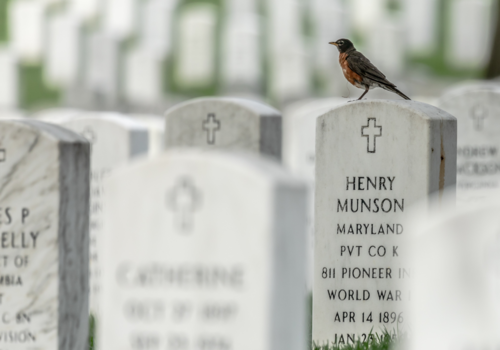 Verenigde Staten - Arlington