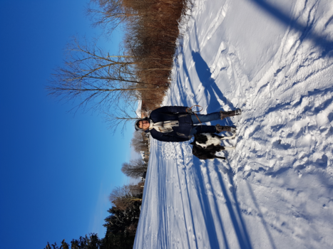 Canada - Vacantie canada