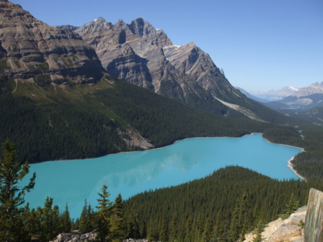Lake Peyto - Blue heaven