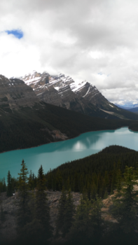 Rondreis West-Canada - Ongerepte schoonheid,Lake peyto.
