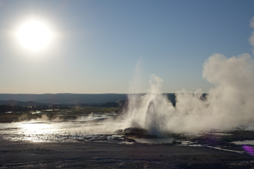 Rondreis West-Canada - Geyser Yellowstone NP