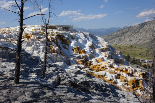 Rondreis West-Canada - Mammoth Hot Springs