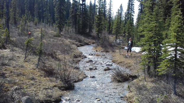 Rondreis West-Canada