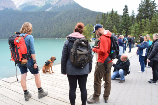 Lake Louise - Picture please