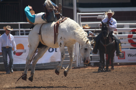 Rondreis West-Canada - Voetjes van de vloer